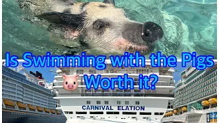 Carnival Elation 🛳️ Feb.16-20 🩱Swimming with the Pigs 🐷 ❤️❤️❤️❤️❤️❤️❤️❤️❤️