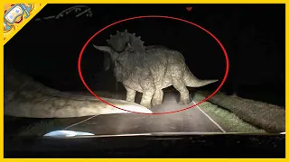 20 De Dinozauri Surprinși De Camerele De Luat Vederi În Viața Reală