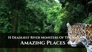 15 Deadliest River Monsters Of The Amazon[Amazing Places 4K]