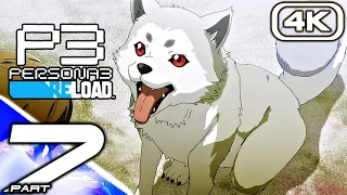 PERSONA 3 RELOAD Gameplay Walkthrough Part 7 (FULL GAME 4K 60FPS) No Commentary 100%