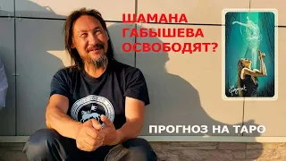 Шаман Габышев будет свободен? Что решит суд? Прогноз на картах Таро