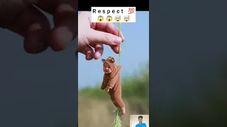 Amazing respect 💯😱🤯🔥 #respect #youtubeshorts #respectshorts #viral #short