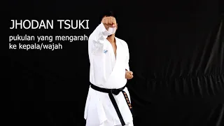 WAJIB DIPELAJARI!!! TEKNIK PUKULAN KARATE UNTUK PEMULA