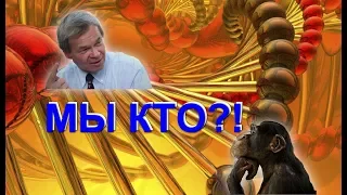 А. Клёсов: КОМУ ПРАЩУР ШИМПАНЗЕ