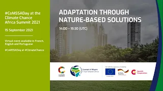 Adaptation through nature-based solutions