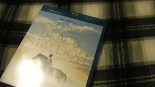 The Black Stallion Movie.