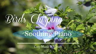 Soothing Piano Music Pampers & Pleases the Heart, Calm Music Heals the Blood Vessels