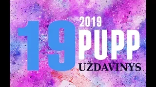 19 uždavinys | PUPP 2019