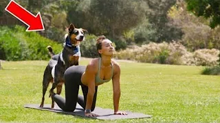 The story shocked the world! This is what a dog did to a girl during yoga!