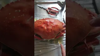 Costco Dungeness Cooked Crab - Chilly Crab Preparation