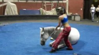 YANA SHANIKOVA IN LIBERTY WITH HORSE