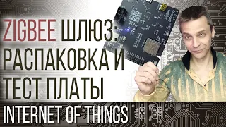 ZigBee ШЛЮЗ: РАСПАКОВКА И ТЕСТ ПЛАТЫ