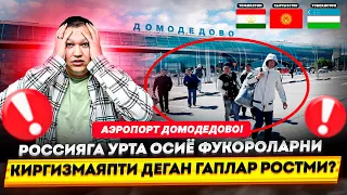 УРТА ОСИЁ ФУКОРОЛАРНИ РОССИЯГА КИРГИЗЯПТИ ДЕГАН ГАПЛАР РОСТМИ?АЭРОПОРТ ДОМОДЕДОВО🇺🇿🇹🇯🇰🇬🇷🇺