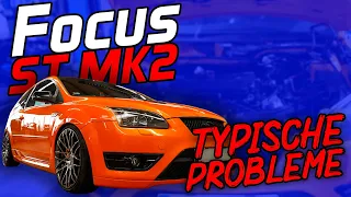 Alterserscheinungen am Focus ST MK2 - Die typischen Probleme I Vlog #16