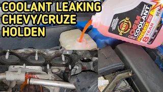 Chevy Cruze Oil Cooler Leak! Coolant Leak Repair Holdan Cruze