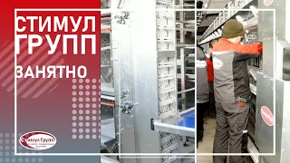 Клеточное оборудование Стимул Инк