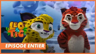 LEO & TIG - Episode "Les enfants du soleil" - CANAL+kids