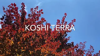 KOSHI CHIMES | Koshi Terra Tuned Wind Chimes | Koshi Bells Meditation Music (2020)