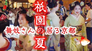 世界が見惚れる舞妓さんのいる京都～華やかな夏の祇園【2023特別編】Maiko in Kyoto Japan