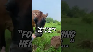 This momma cow was so excited to show this to her 🥹