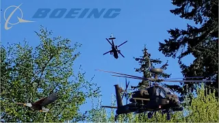 Boeing AH-64 Apache Helicopter Flyover | Looks Like A Flying Insect!