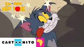 New York's Fortune | Tom & Jerry in New York | Cartoonito Africa