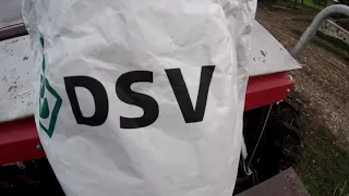 25 вересня.Демопосів озимого ячменю.DSV,сорт Парадіс #dsv