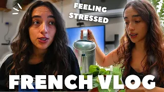 A week in the life of Piece of French 👩🏻🌿🇫🇷 // weekly french vlog with english subtitles