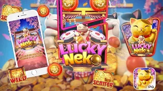 FORREI COM 50 CONTO - LUCKY NEKO