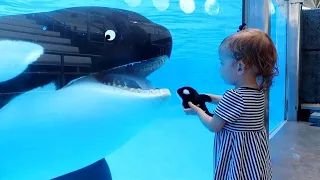 TRY NOT TO LAUGH - Baby Shark Doo Doo - Funny Baby Videos Compilation 2020 Part 1