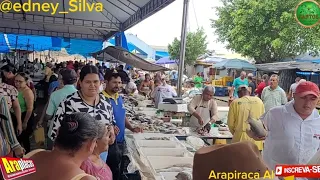 FEIRA DO PEIXE MUITA GENTE NESSA QUARTA FEIRA EM ARAPIRACA AL /27/03/24/.