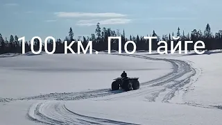 Архангельск-Верхняя Золотица по тайге на вездеходах.