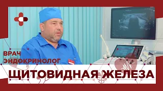 Щитовидная железа / В каких случаях обращаться к эндокринологу?