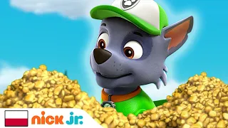 Psi Patrol | Pieski szukają złota! | Nick Jr.