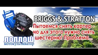 Двигатель "Briggs & Stratton" / ЛопЛош / Мотокультиватор