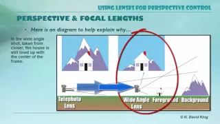 Lenses and Perspective Control