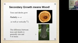 Tree Biology