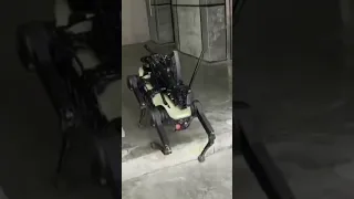 Military Robot Dog With AK-47