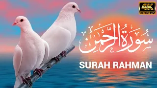 Surah Rahman | Episode 26 | سورہ رحمٰن 55 | Beautiful Recitation | Quran Rediance