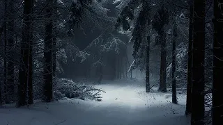 Stopping By Woods On A Snowy Evening ~ Poem By Robert Frost