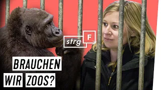 Nach Lockdown: Alle Zoos schließen? | STRG_F