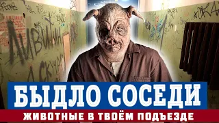 БЫДЛО СОСЕДИ - В МИРЕ ЖИВОТНЫХ  жирный