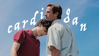 cardigan | call me by your name