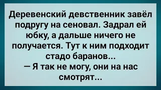 Деревенский Девственник и Стадо Баранов! Сборник Свежих Анекдотов! Юмор!