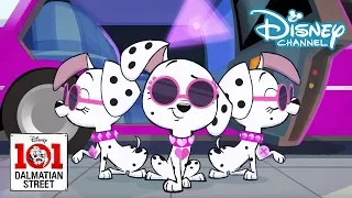 101 Dalmatian Street | Diva Puppies | Disney Channel NL