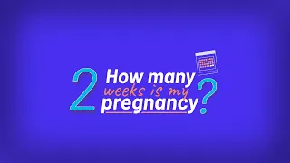 Self-Managed Abortion: How Many Weeks Pregnant Am I? | Episode 2