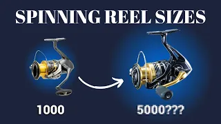 Explaining SPINNING REEL Sizes  (1000, 2500, 5000)