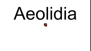 Aeolidia