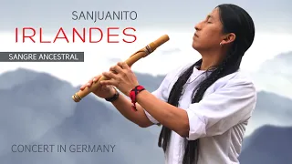 Sanjuanito Irlandes | Traditional Andean Music | Live Concert | Happy Energetic Music | Quena Flute