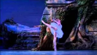 Tchaikovsky   Swan Lake American Ballet Theatre, 2005 avi 001